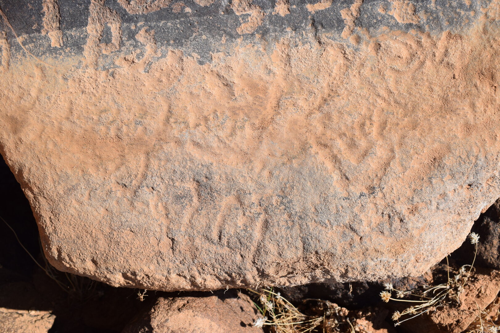Image of siglum BES20 751