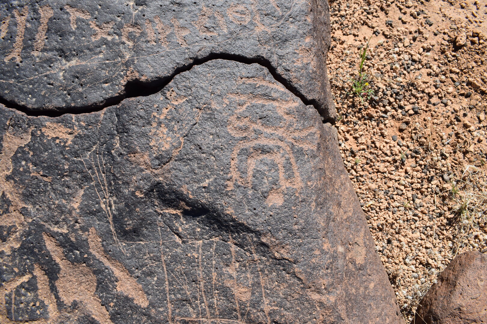 Image of siglum BES20 763