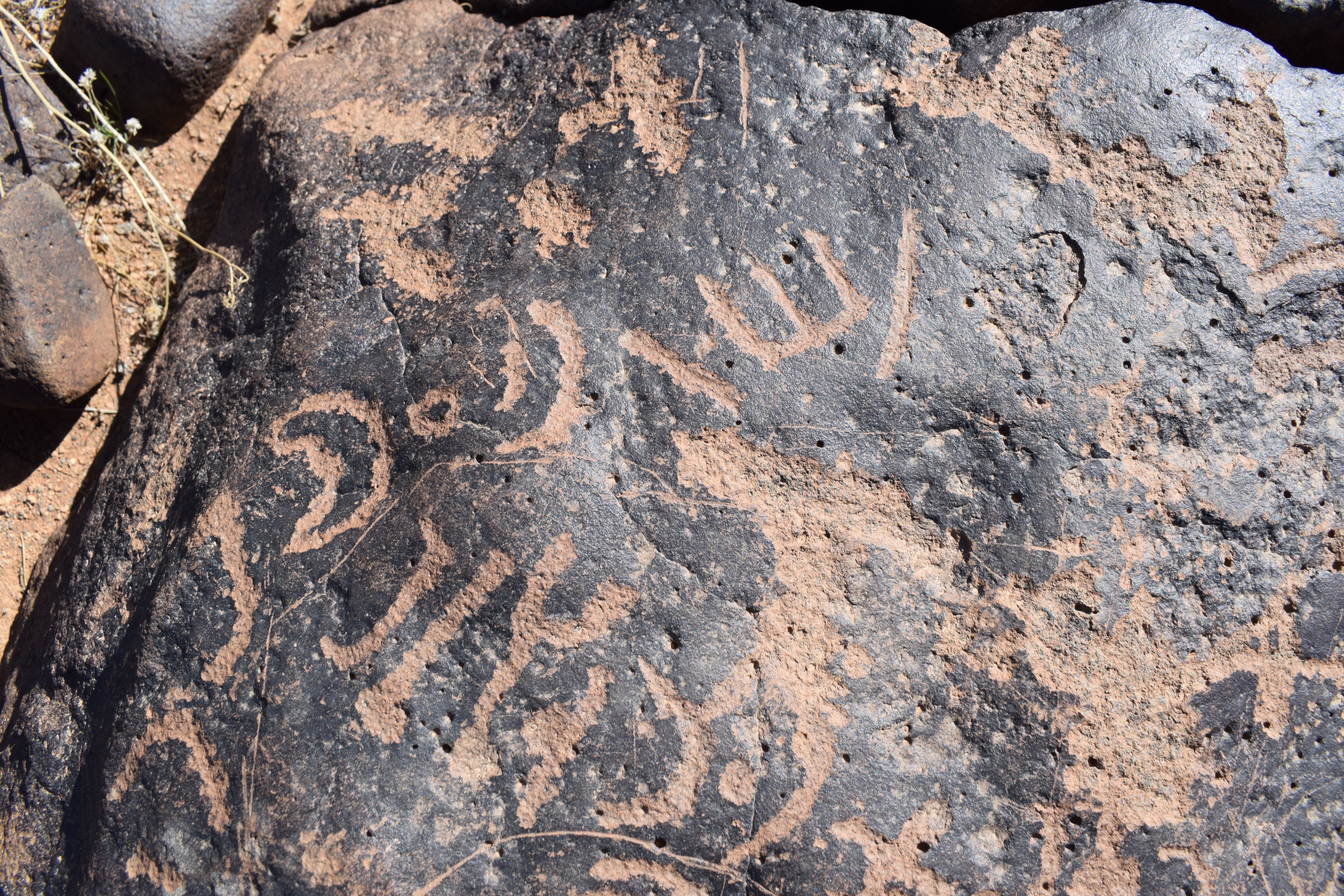 Image of siglum BES20 764