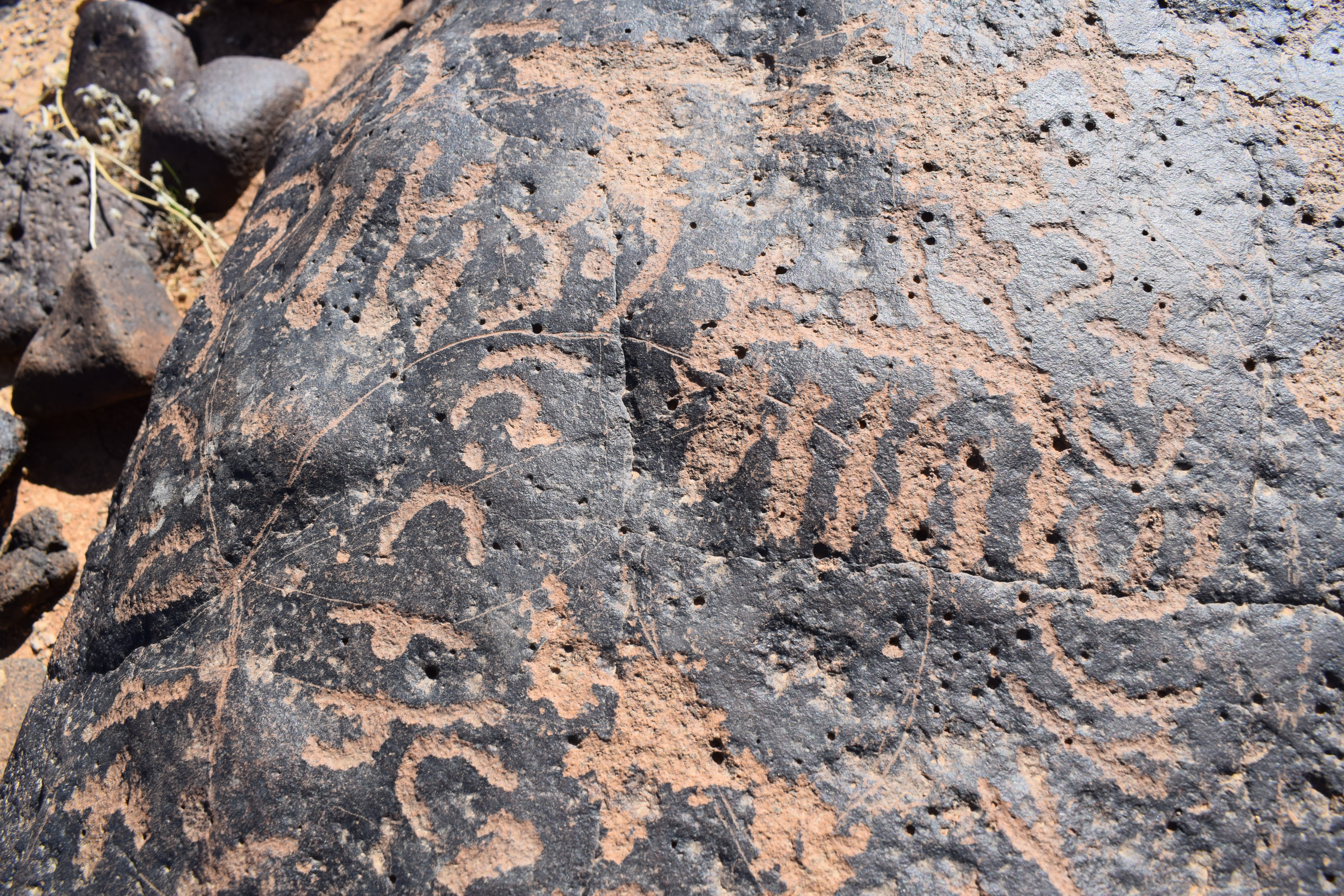 Image of siglum BES20 764
