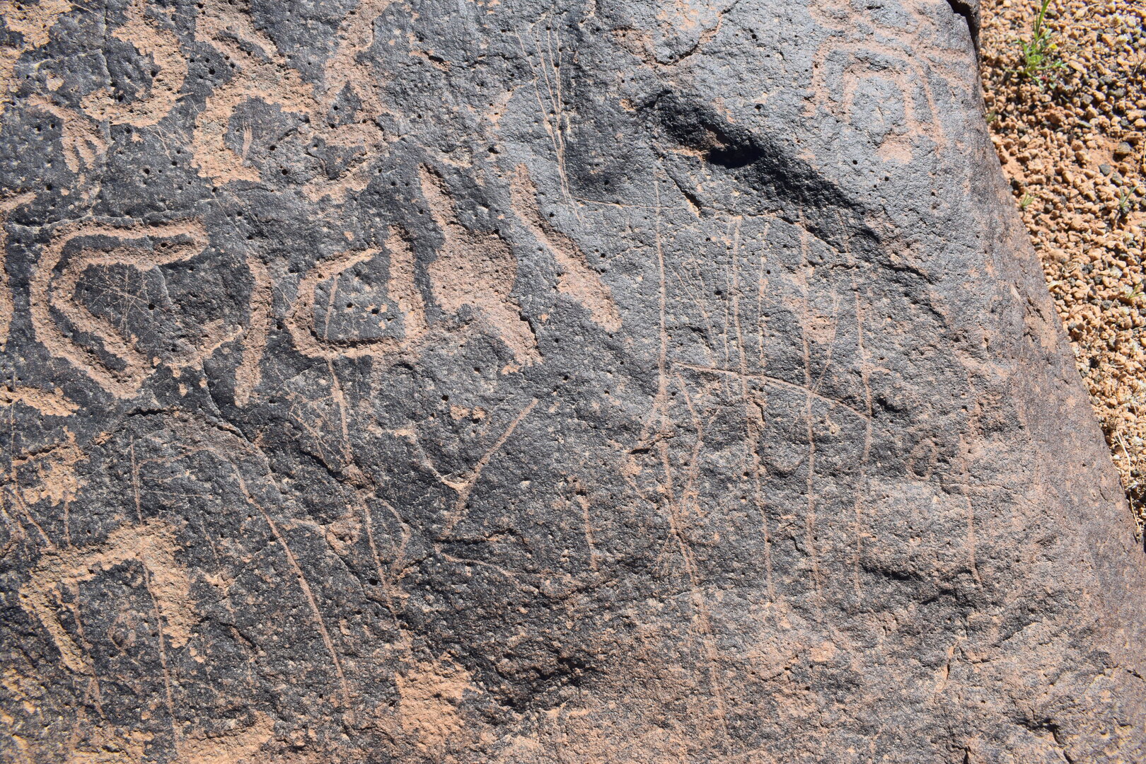 Image of siglum BES20 764