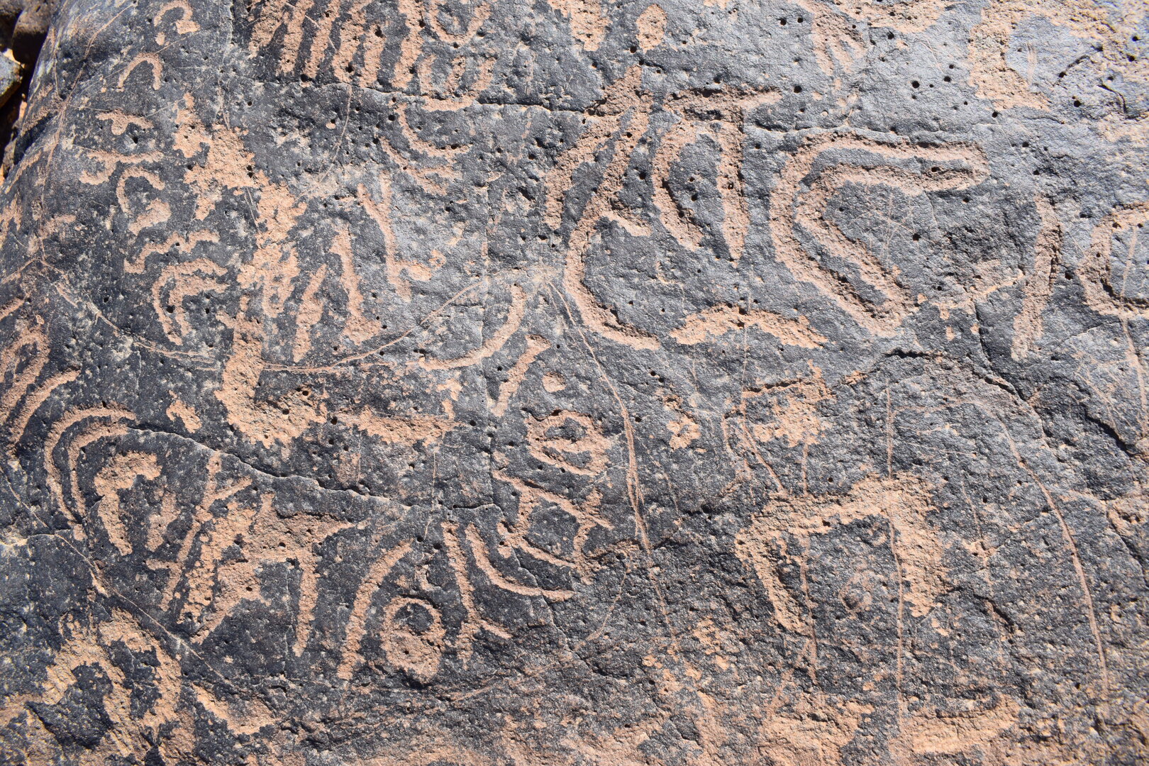 Image of siglum BES20 767