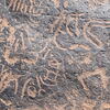Image of siglum BES20 768