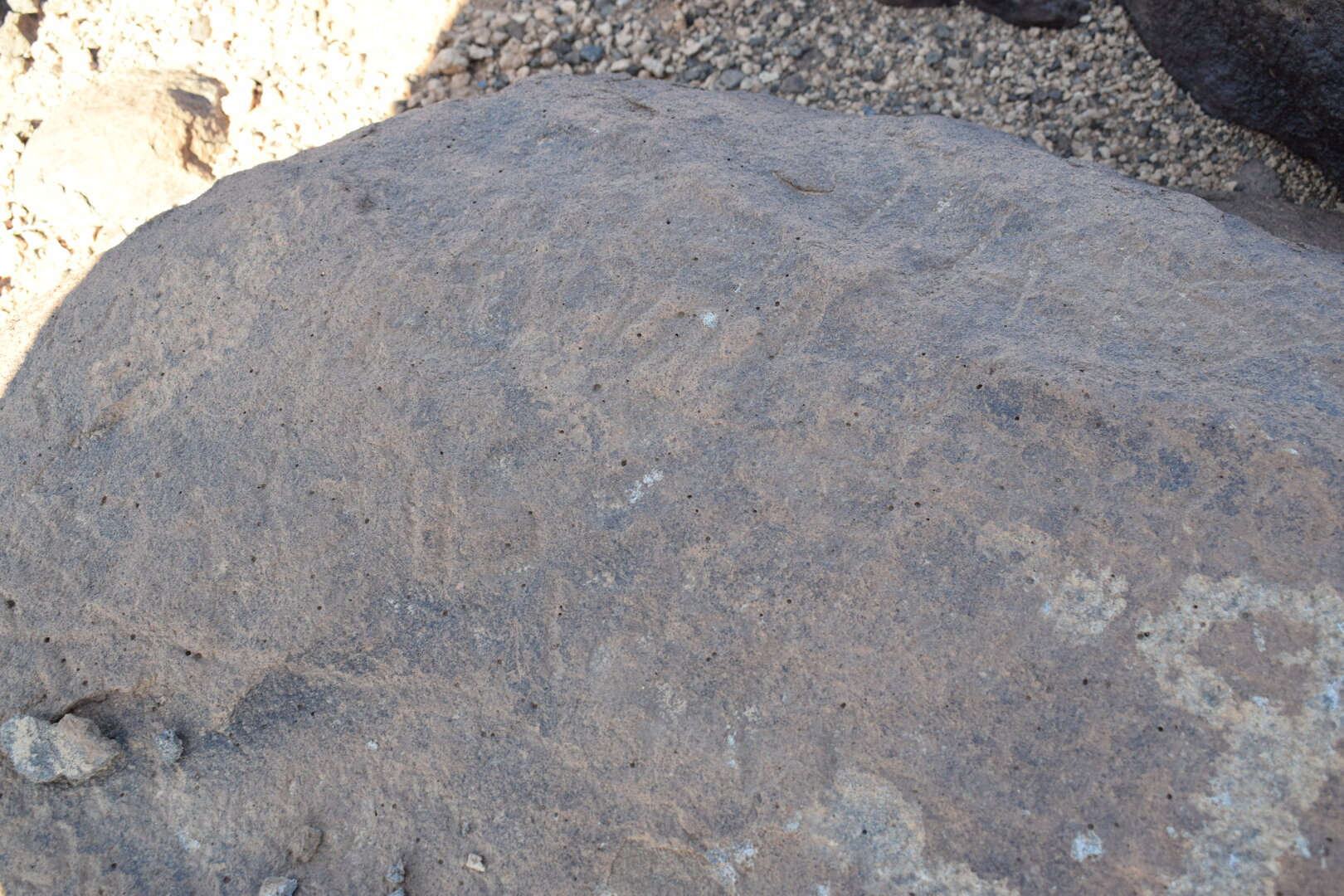 Image of siglum BES20 770