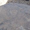 Image of siglum BES20 770