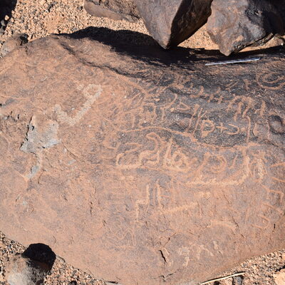 Image of siglum BES20 772