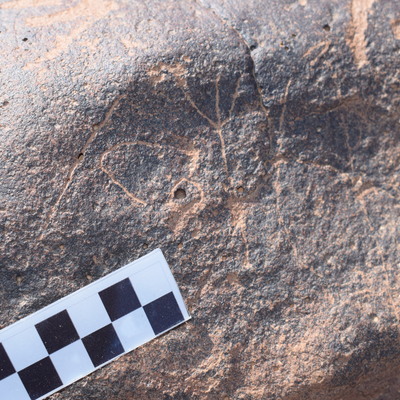 Image of siglum BES20 780