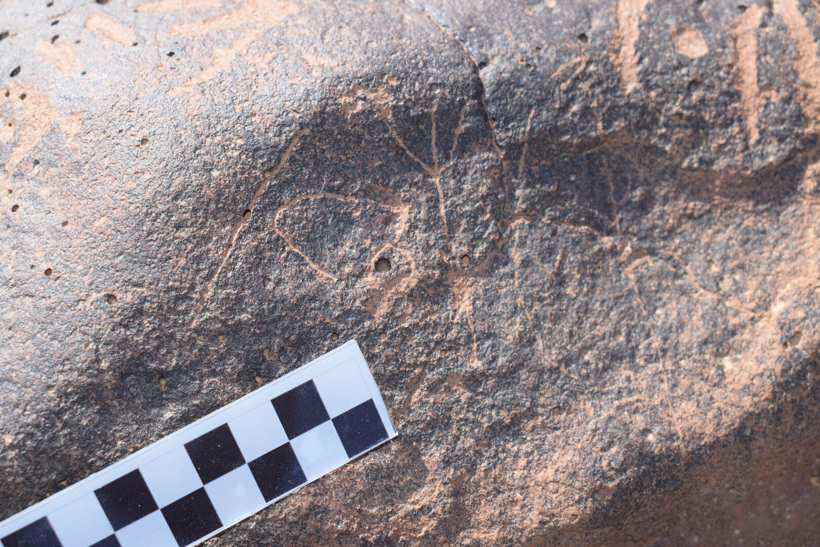Image of siglum BES20 780
