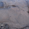 Image of siglum BES20 785
