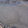 Image of siglum BES20 785