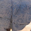 Image of siglum BES20 785