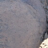 Image of siglum BES20 785