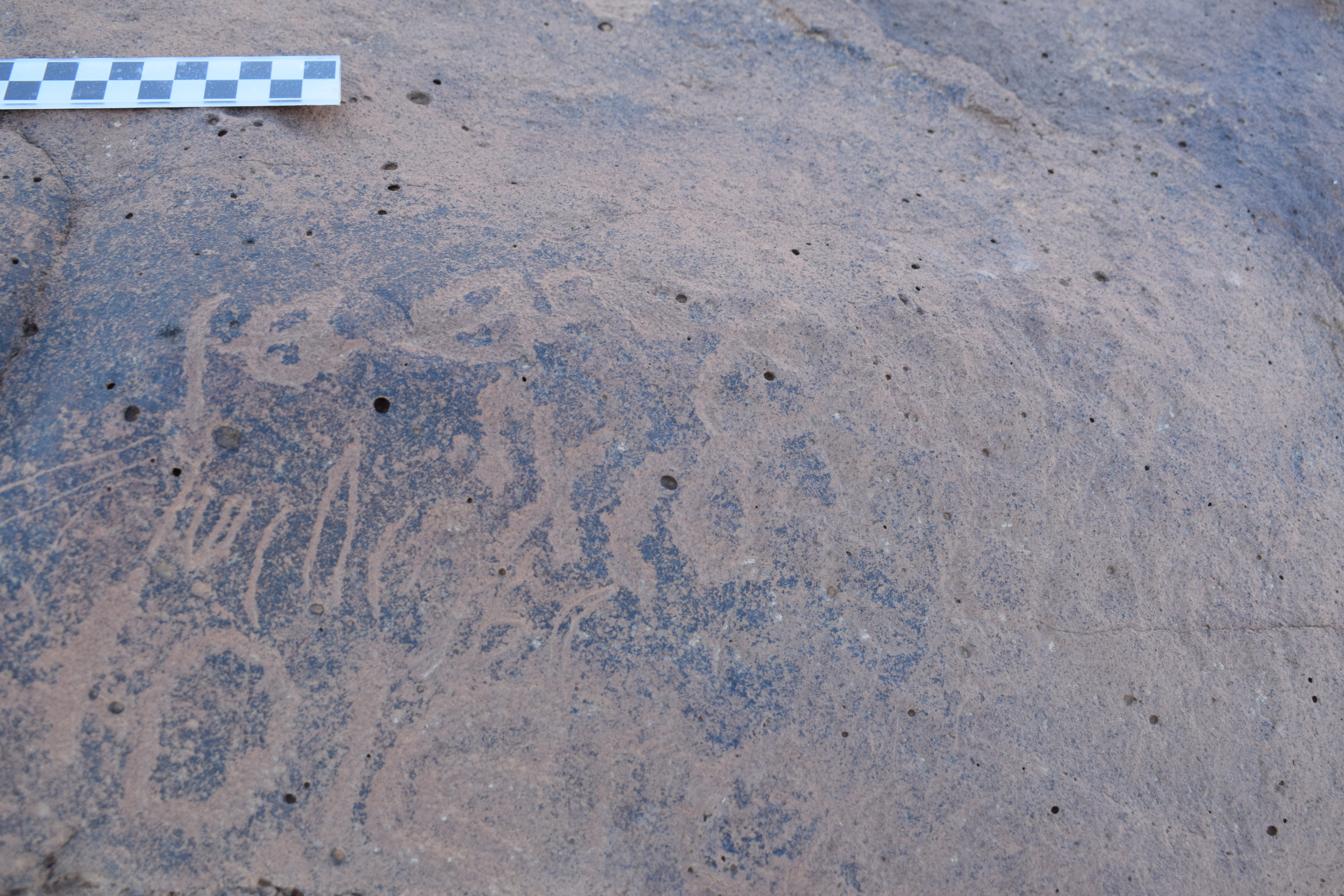 Image of siglum BES20 786