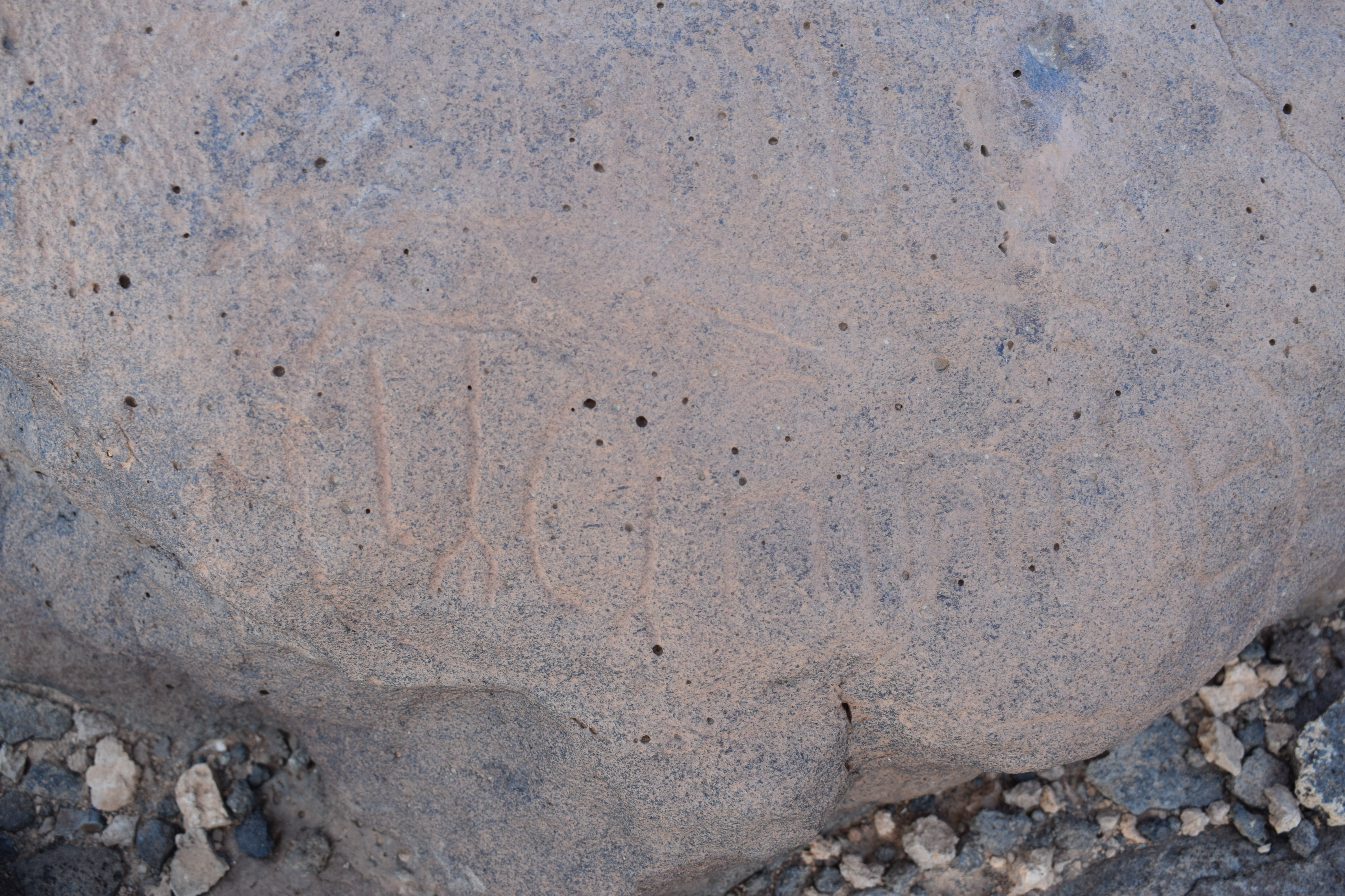 Image of siglum BES20 786