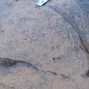 Image of siglum BES20 786