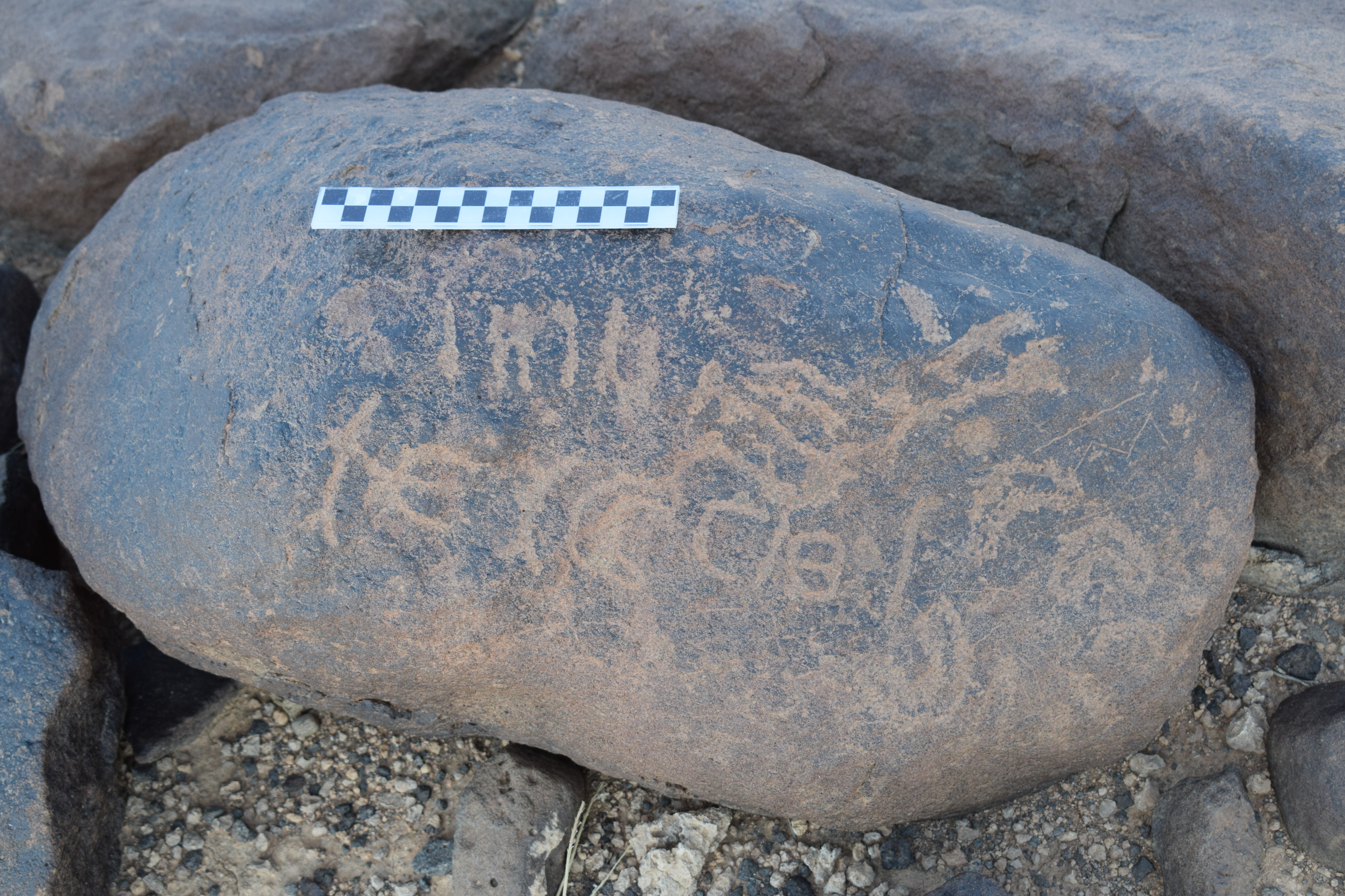 Image of siglum BES20 788