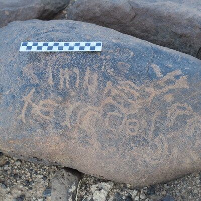 Image of siglum BES20 788