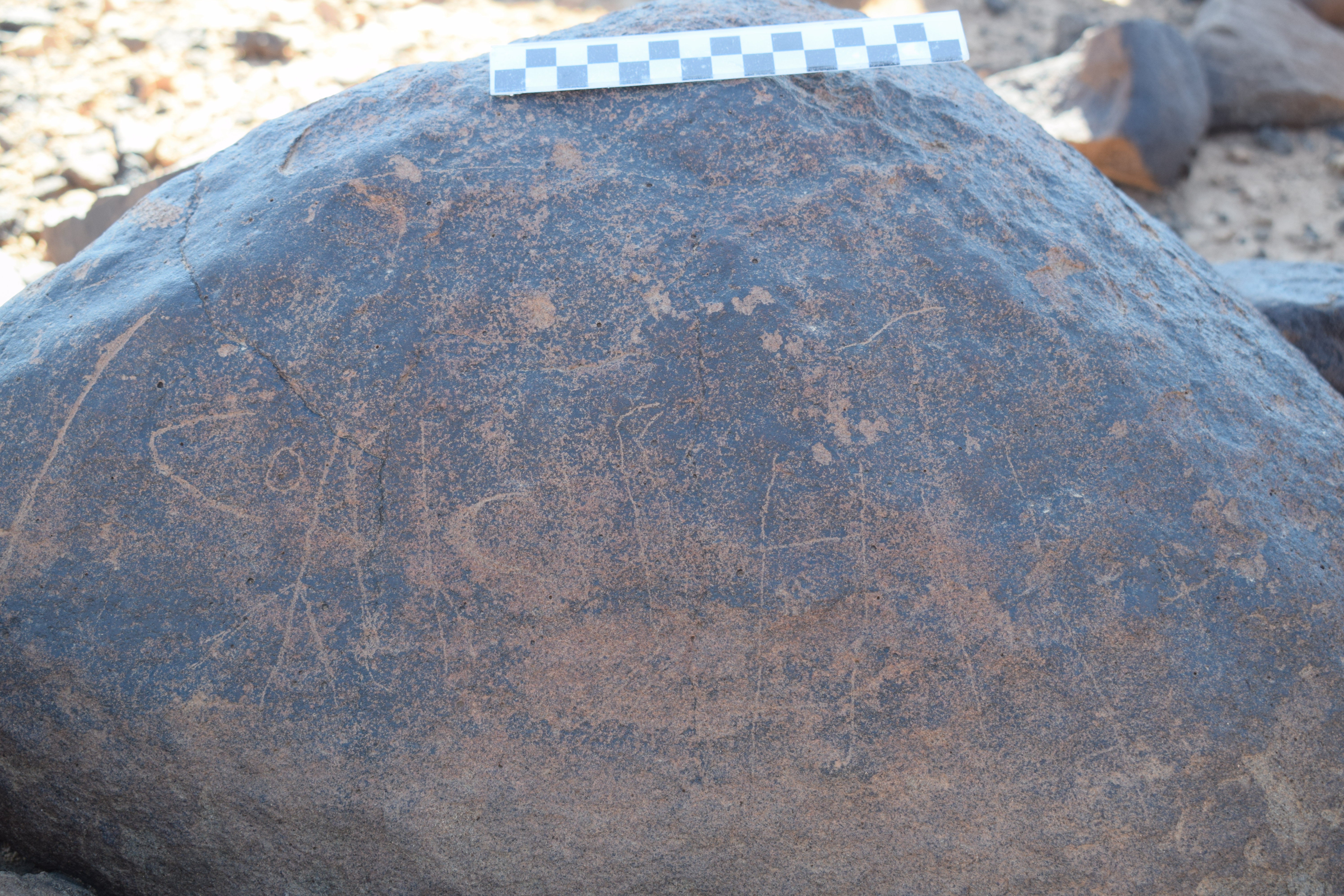 Image of siglum BES20 792