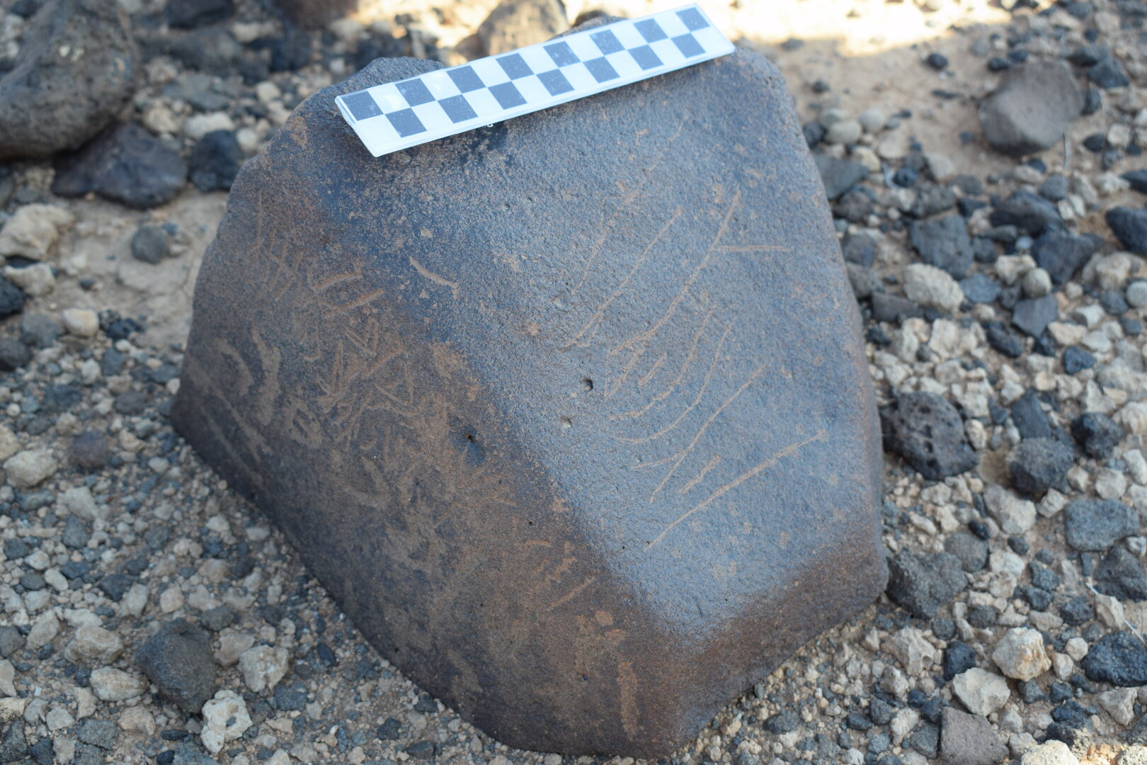 Image of siglum BES20 793