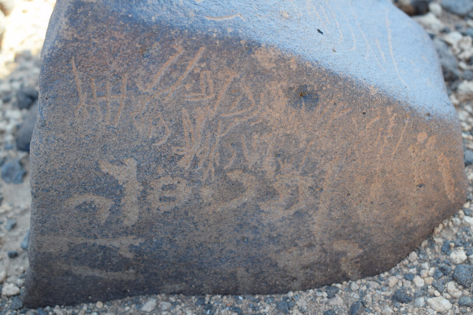 Image of siglum BES20 795