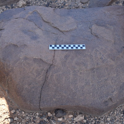 Image of siglum BES20 797