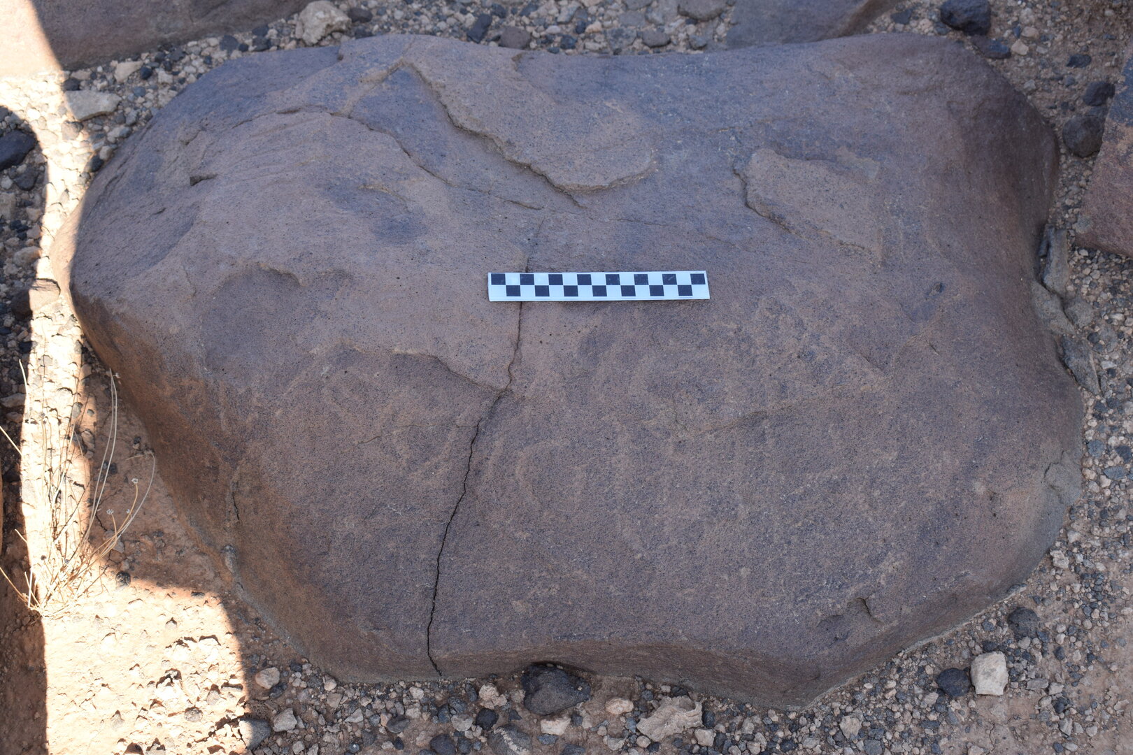 Image of siglum BES20 797
