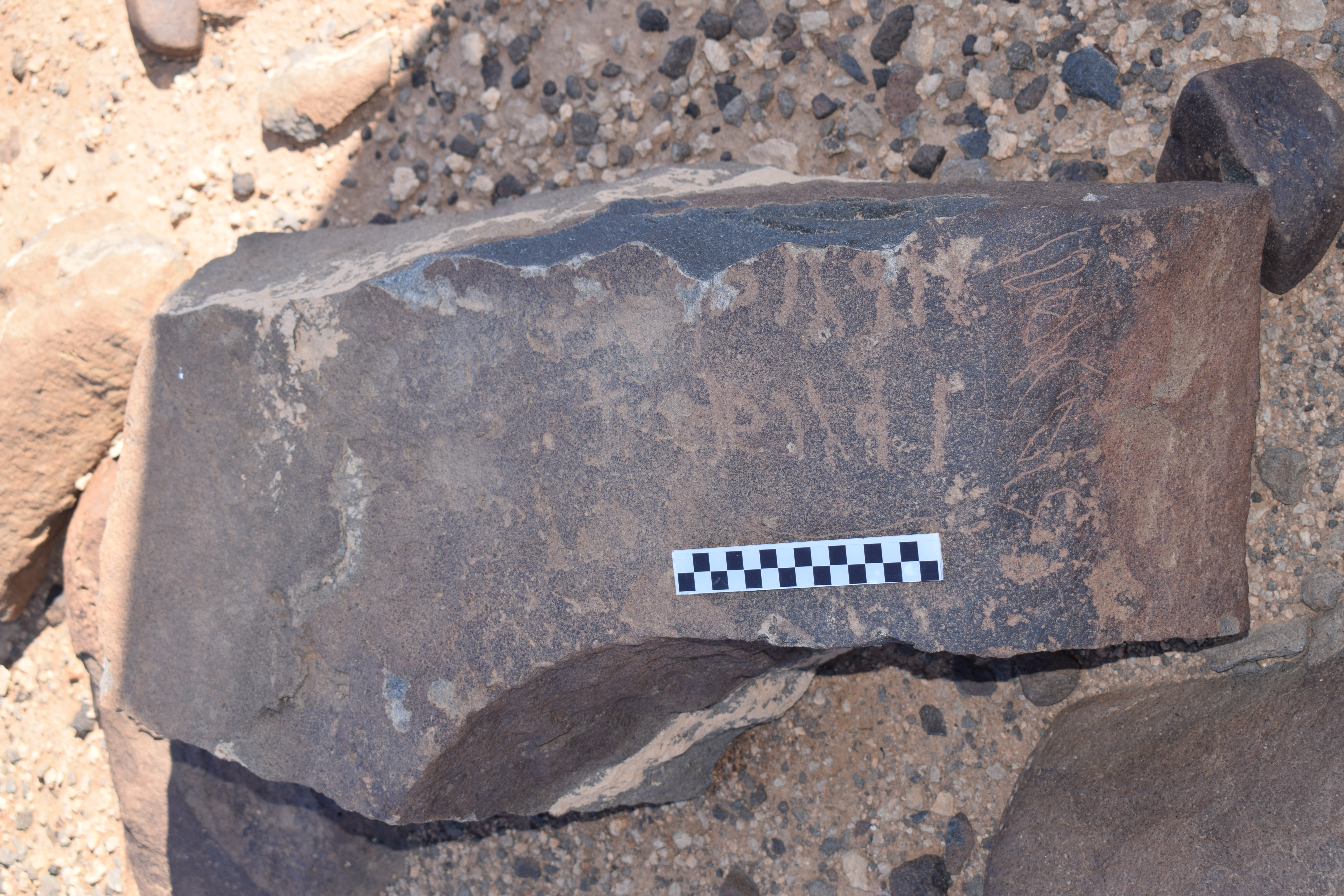 Image of siglum BES20 799