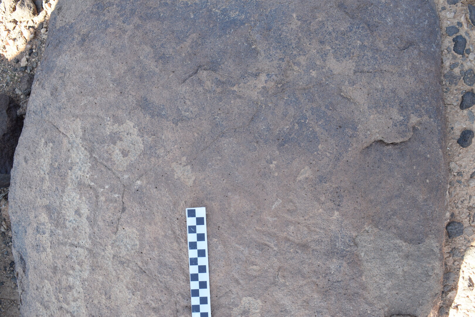 Image of siglum BES20 805