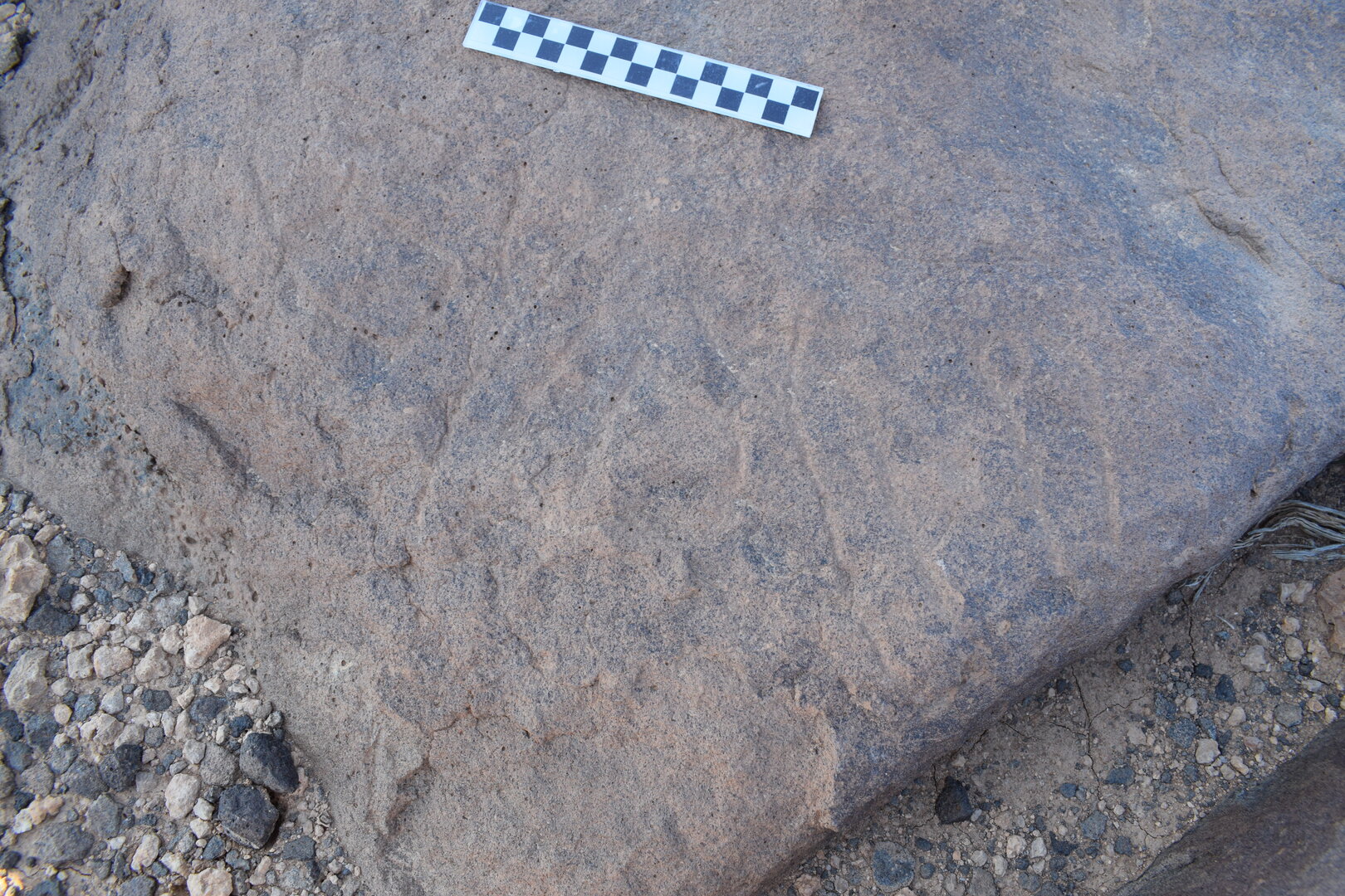 Image of siglum BES20 805