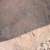 Image of siglum BES20 805