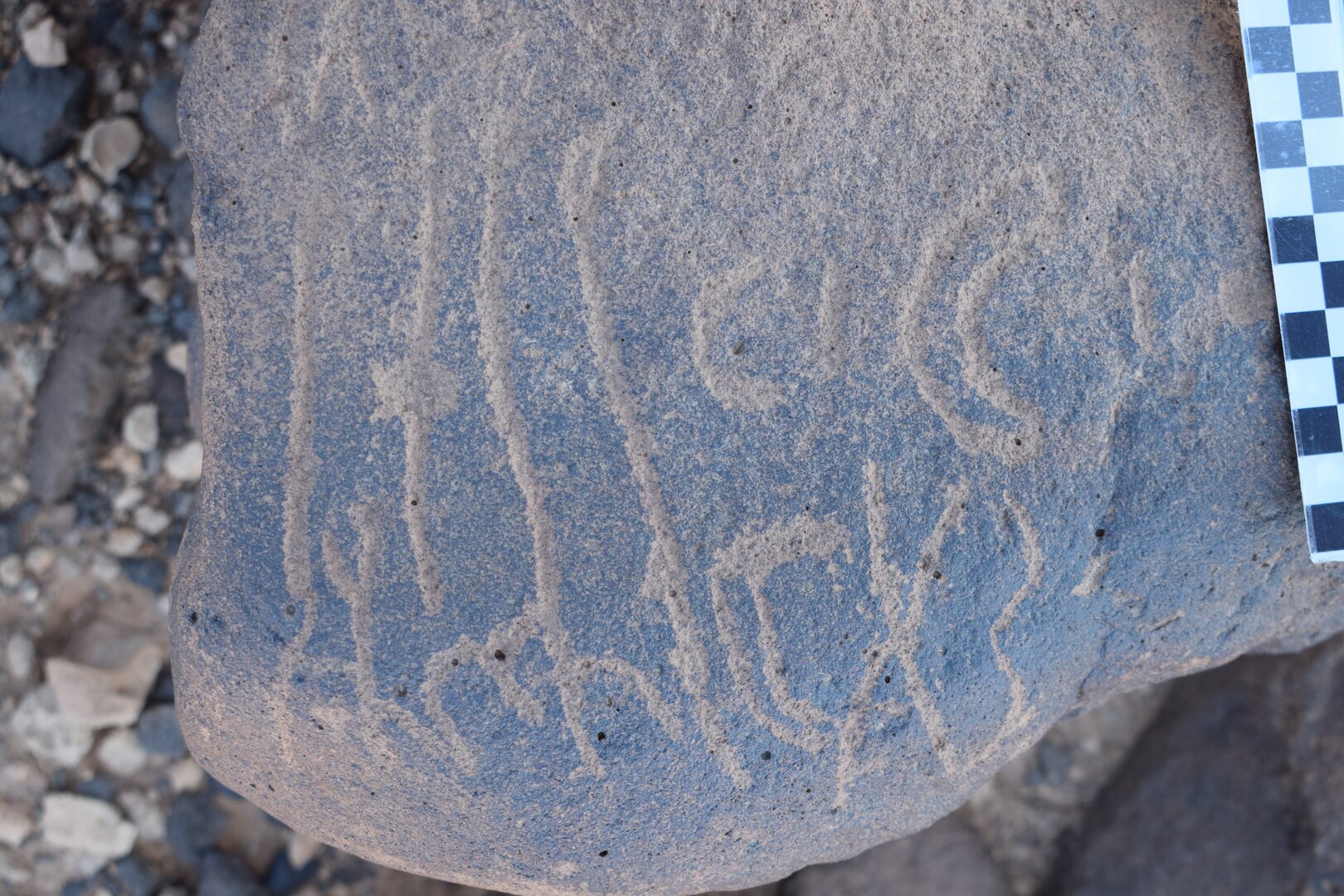 Image of siglum BES20 806