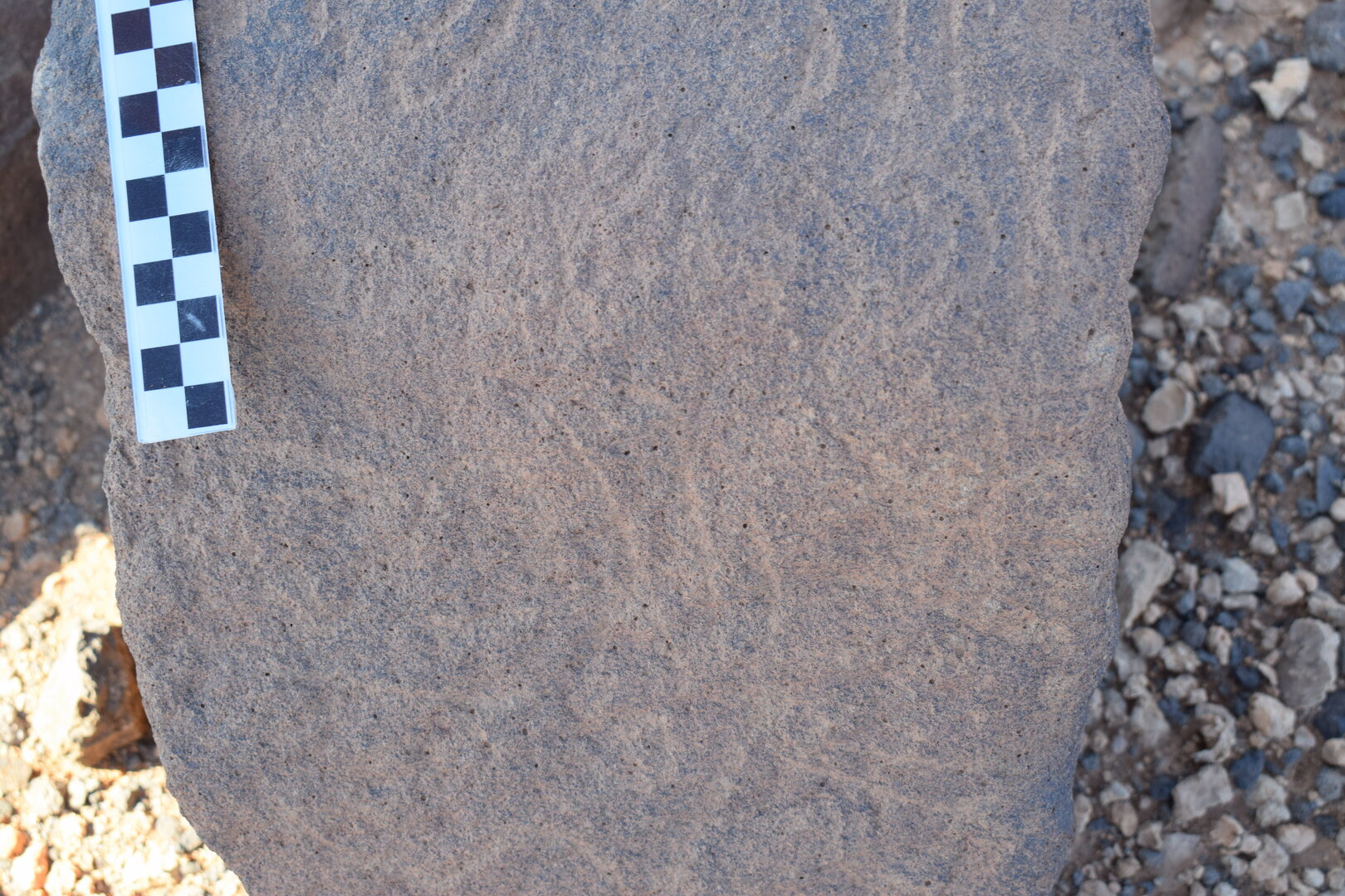 Image of siglum BES20 806