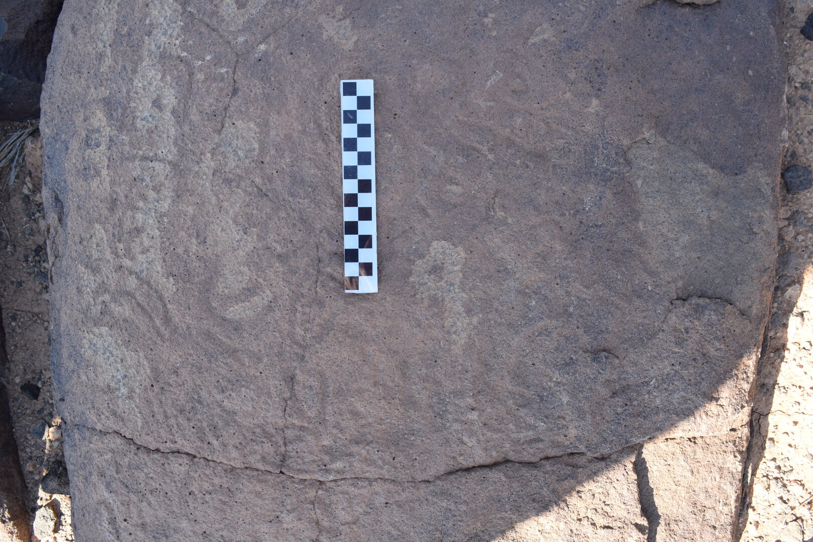 Image of siglum BES20 806