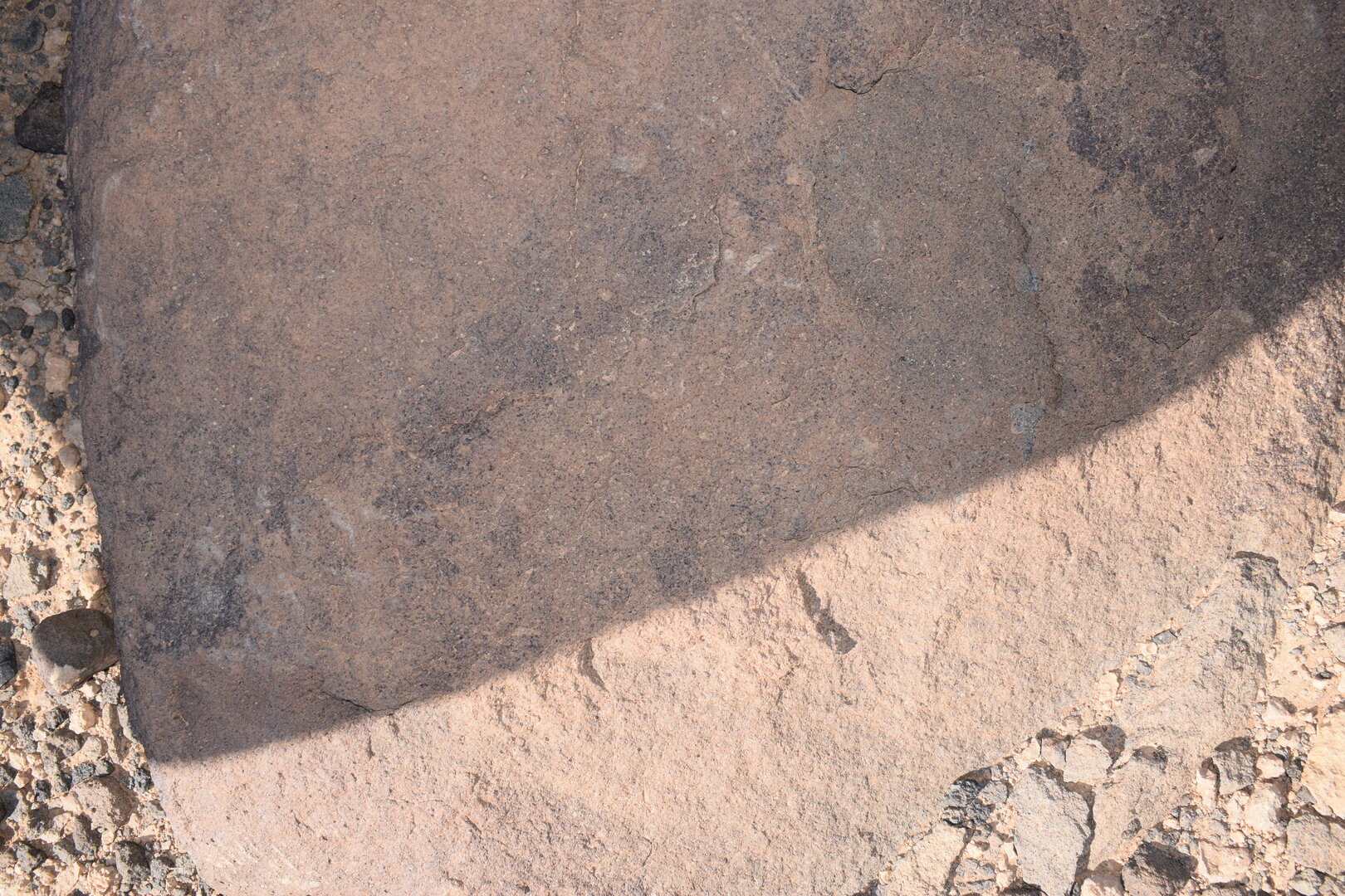 Image of siglum BES20 806