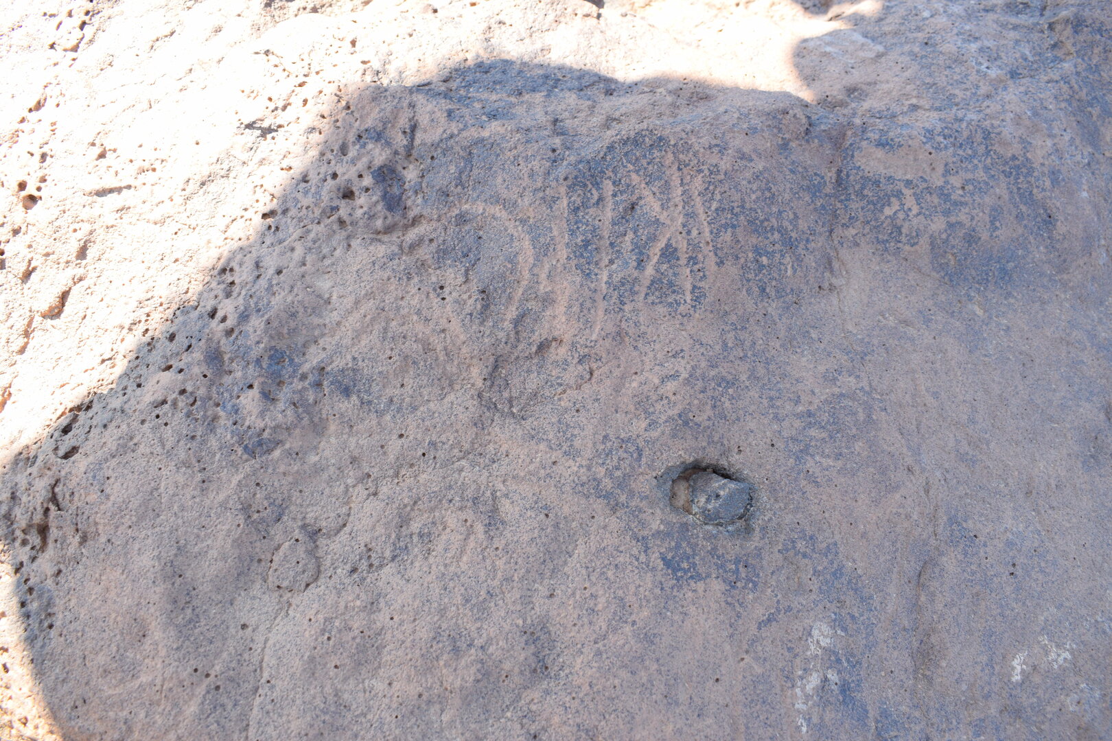 Image of siglum BES20 807