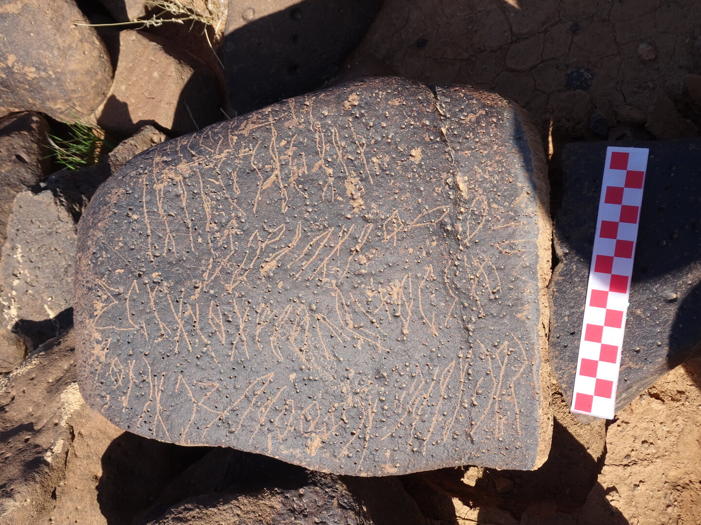 inscription of siglum BES20 81