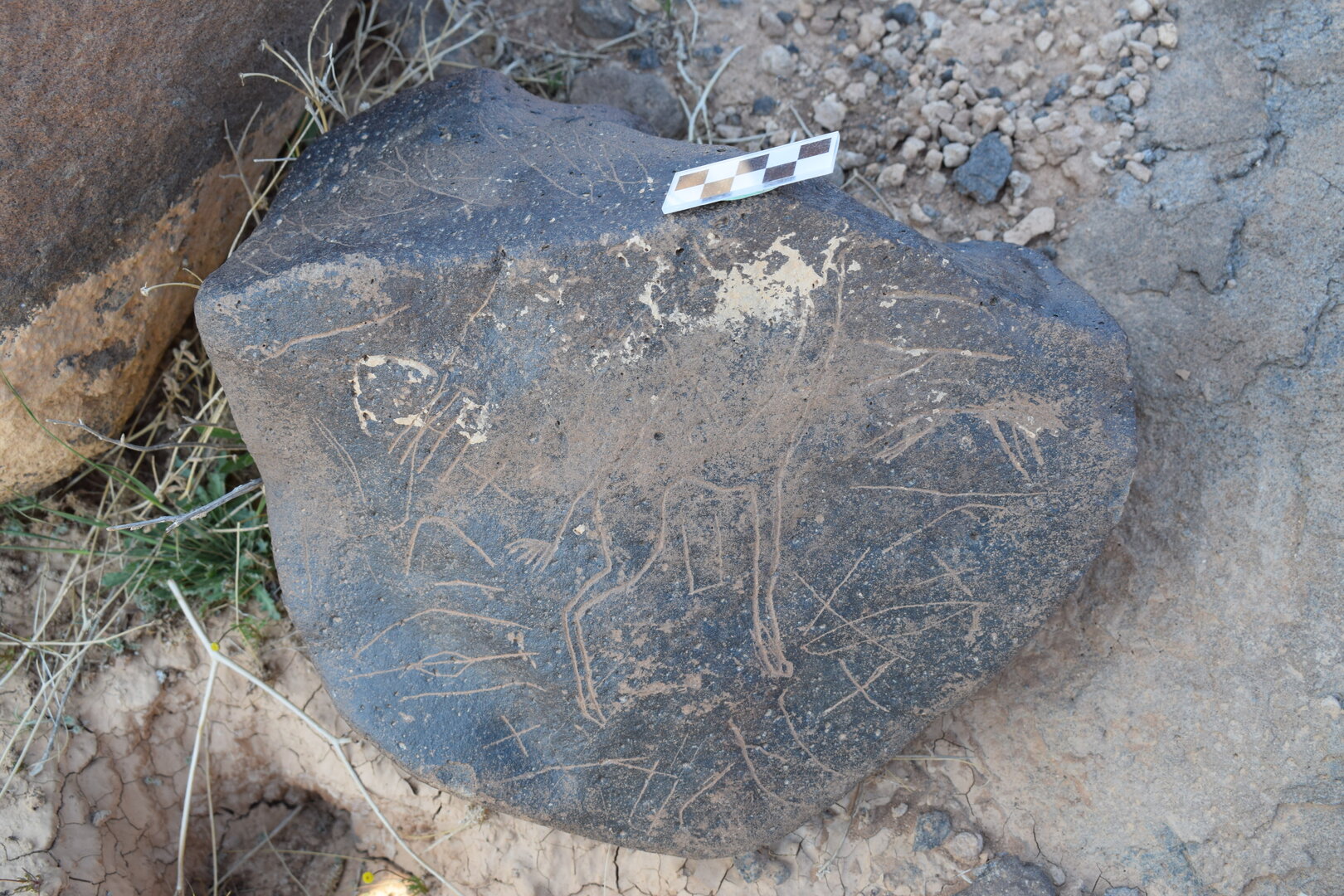 Image of siglum BES20 810