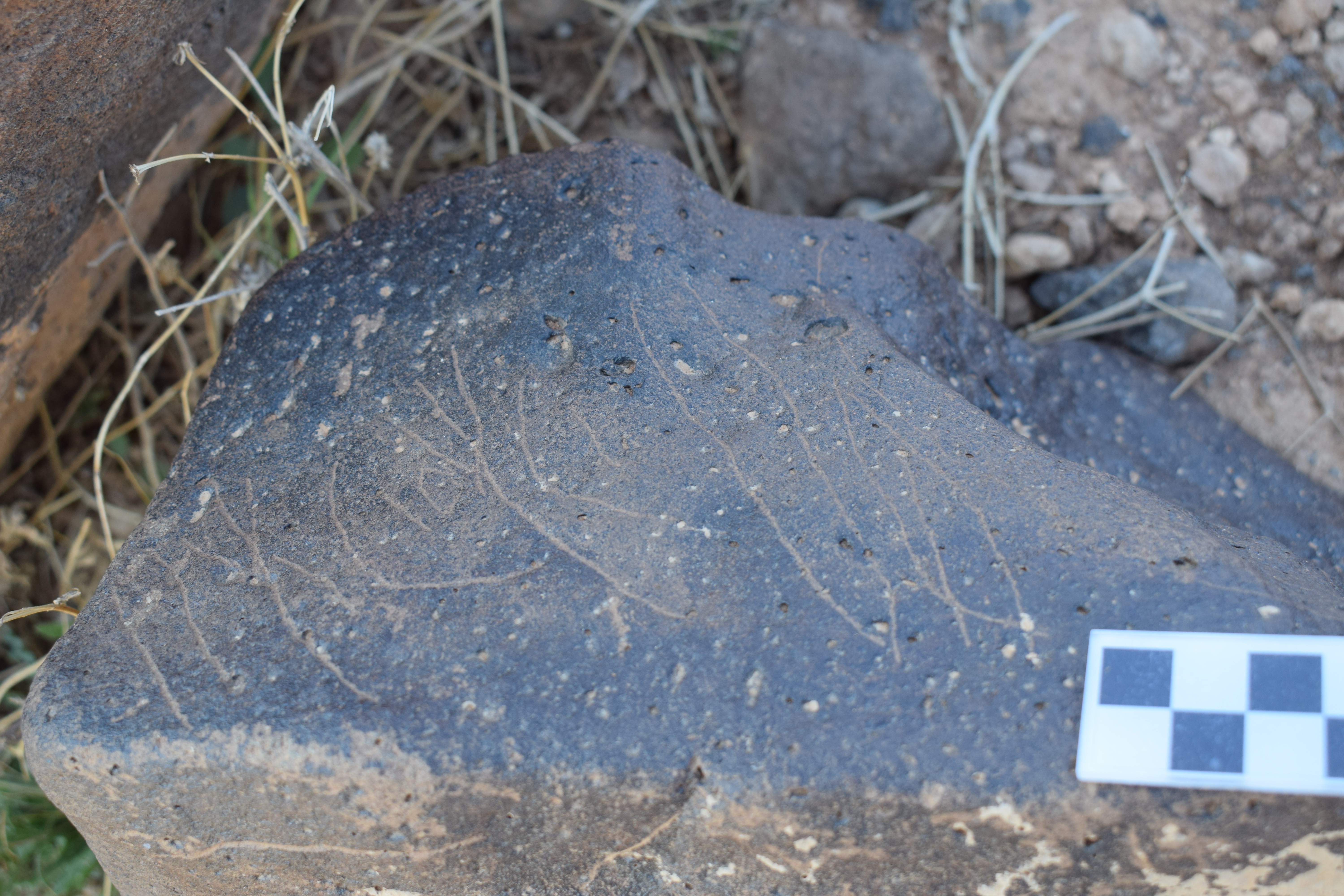 Image of siglum BES20 811