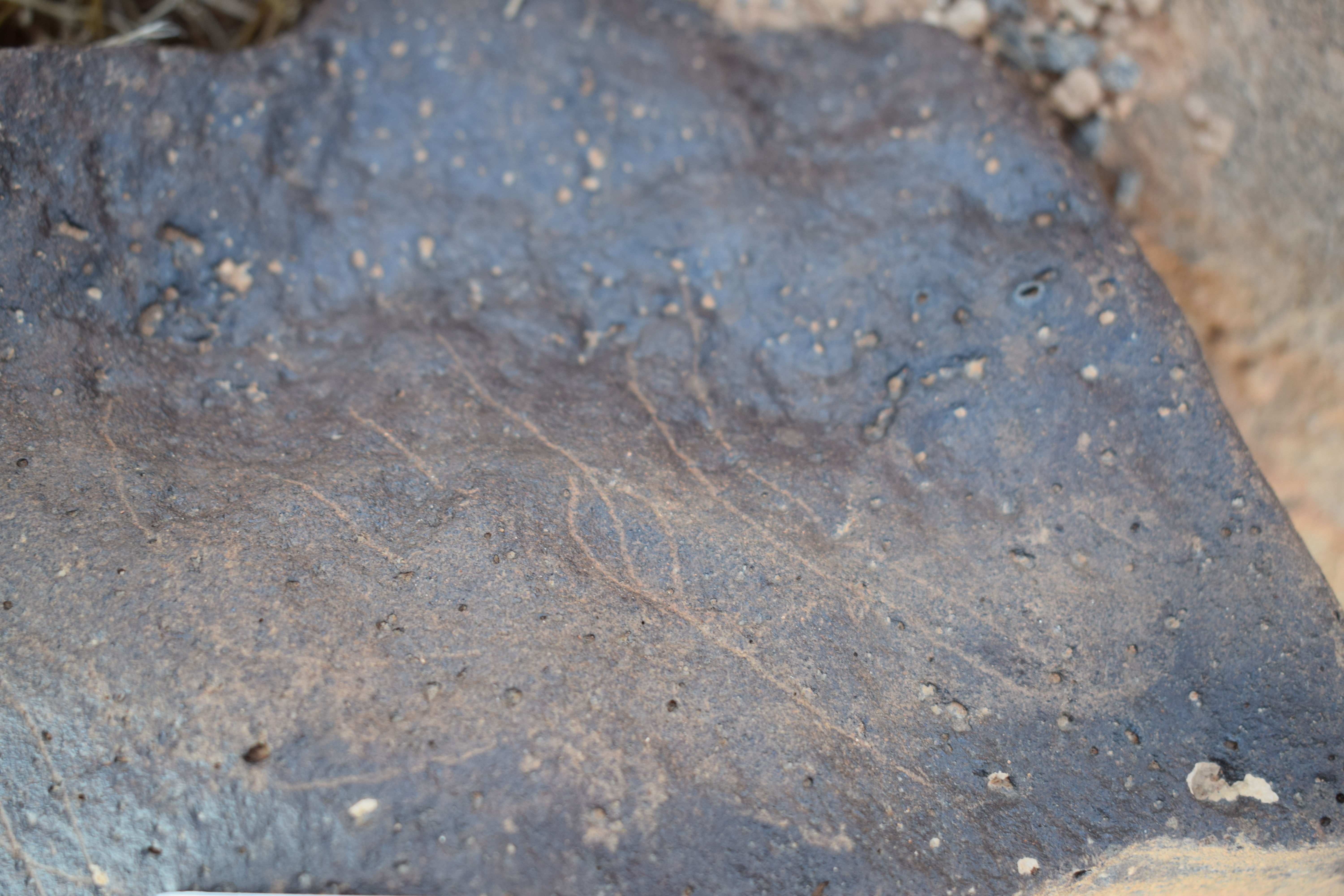 Image of siglum BES20 811