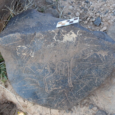 Image of siglum BES20 811