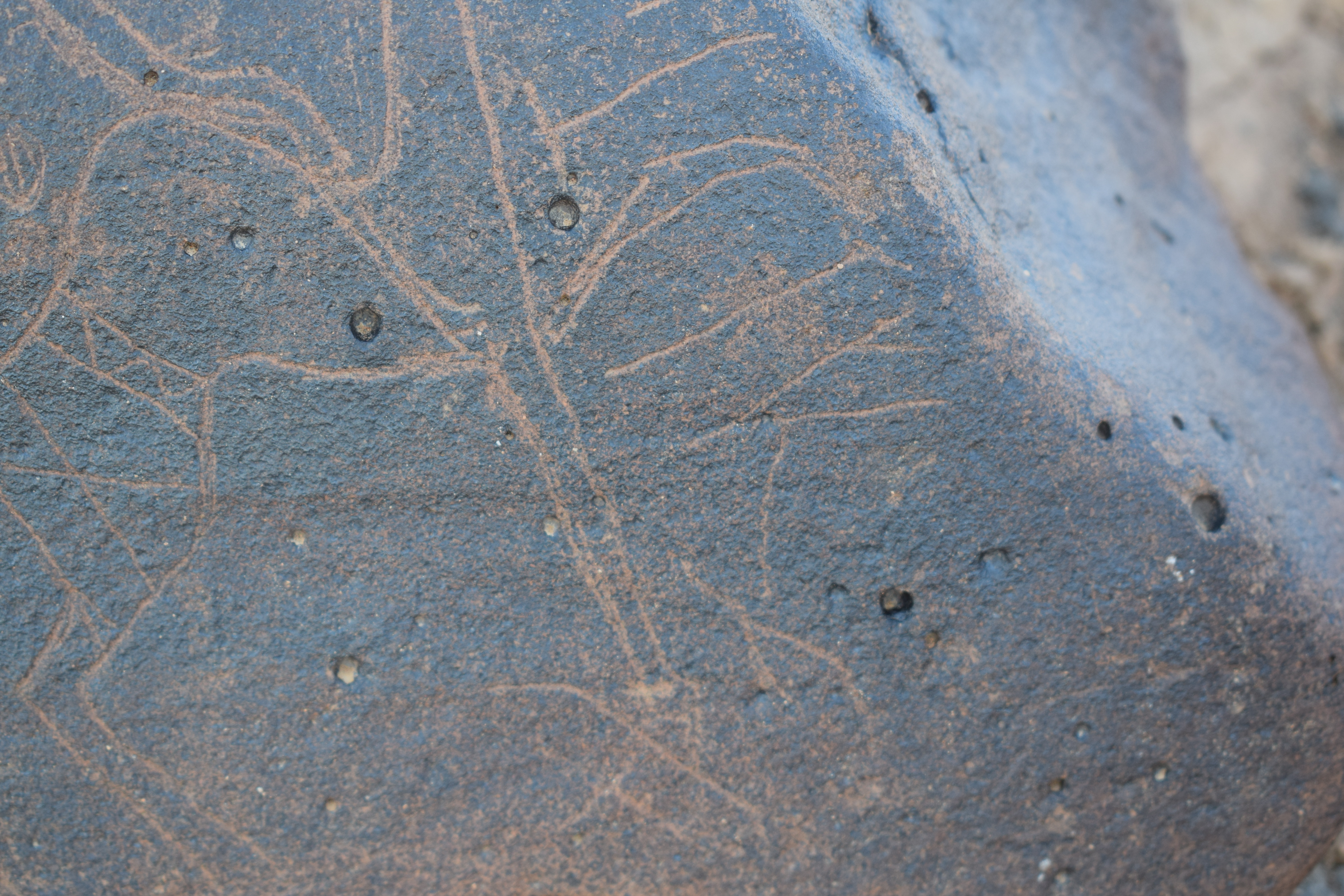 Image of siglum BES20 812