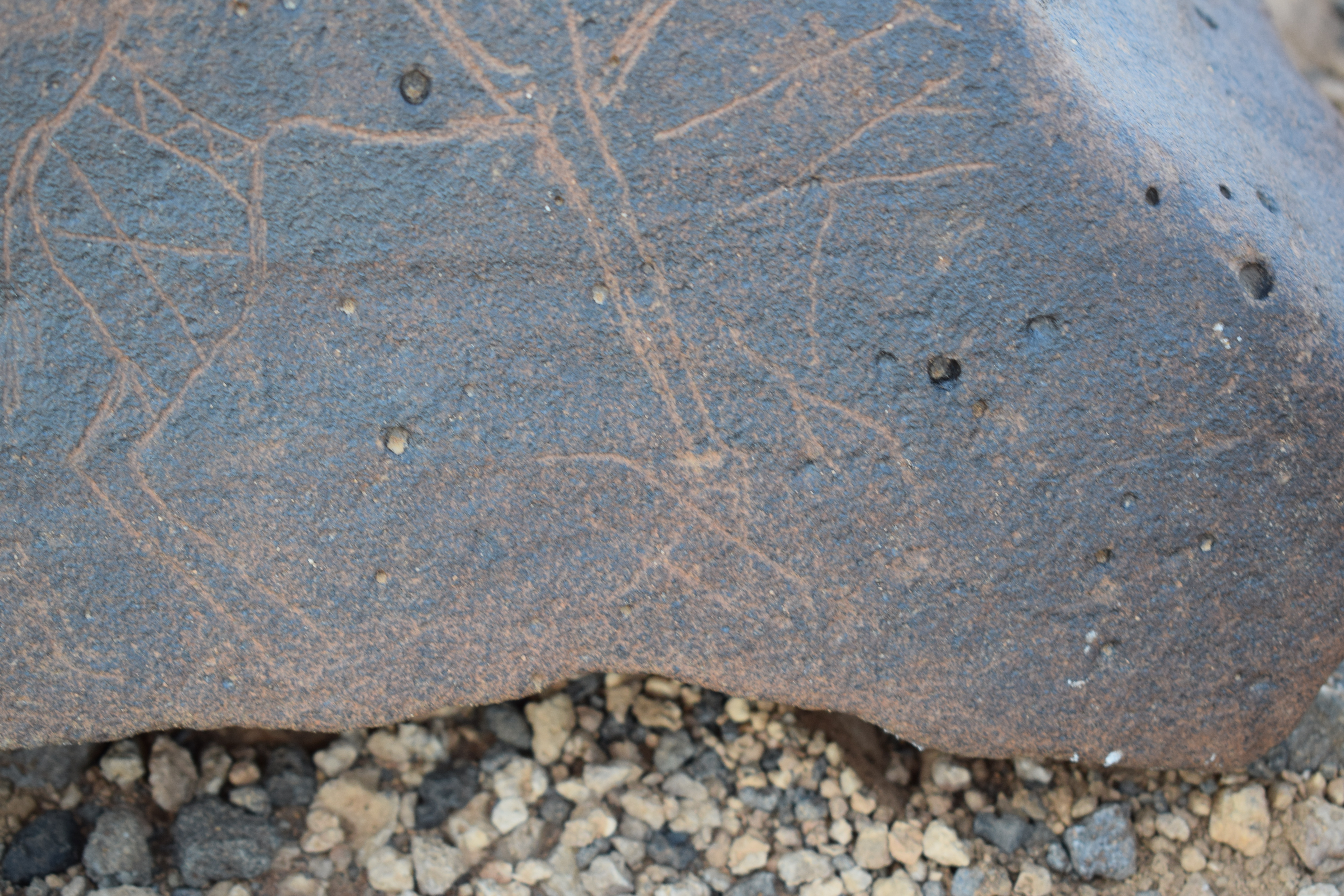 Image of siglum BES20 812