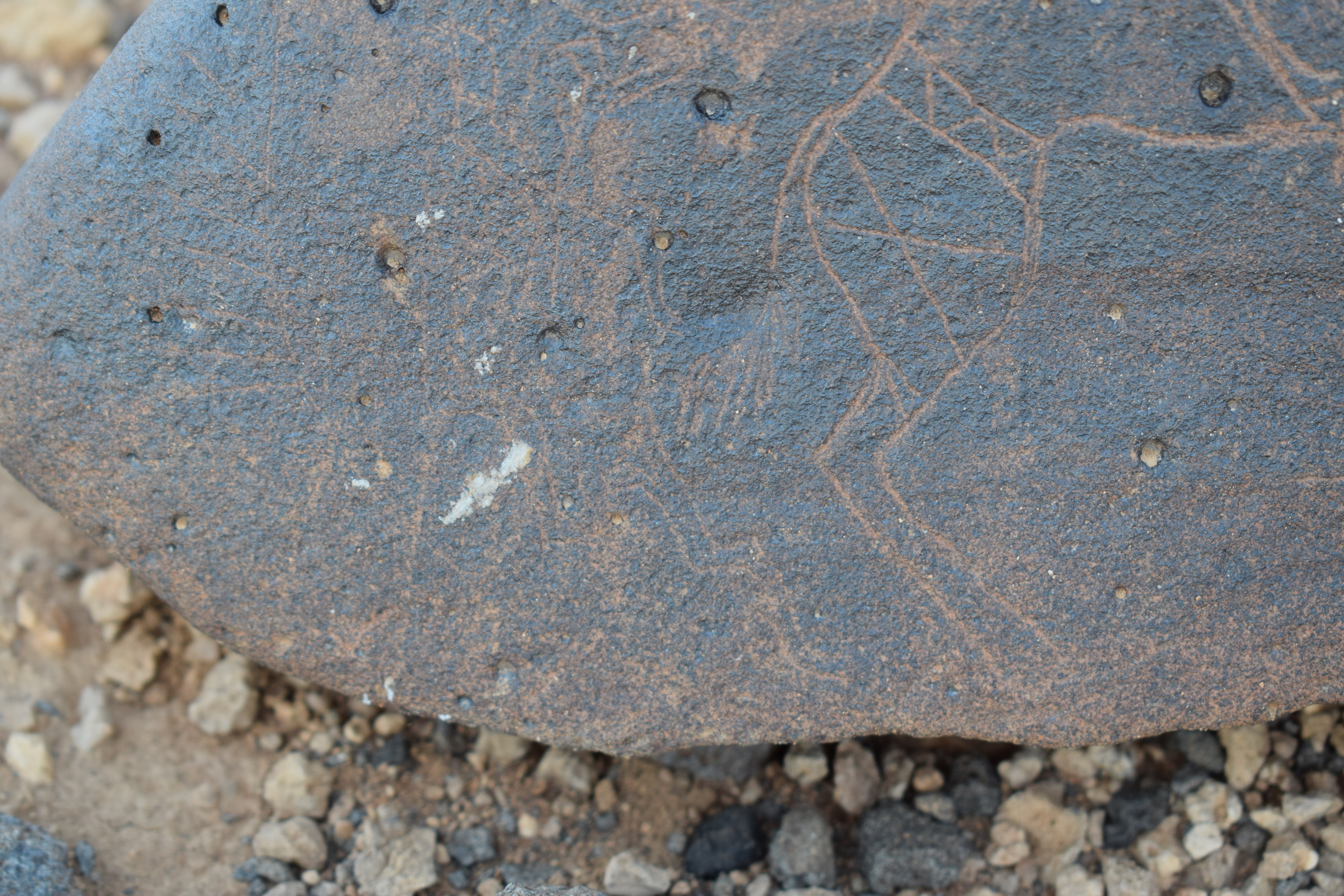 Image of siglum BES20 812