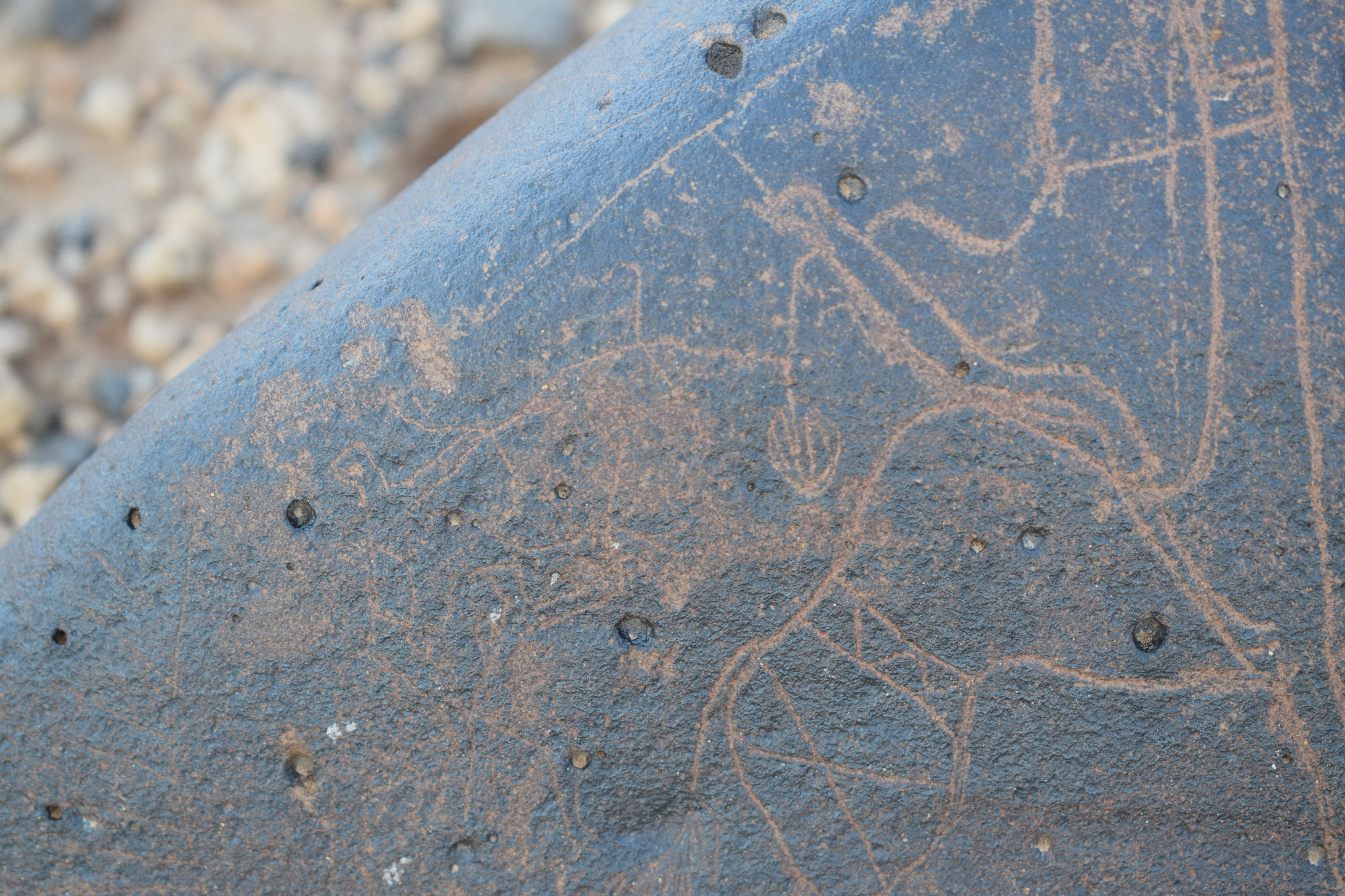 Image of siglum BES20 812