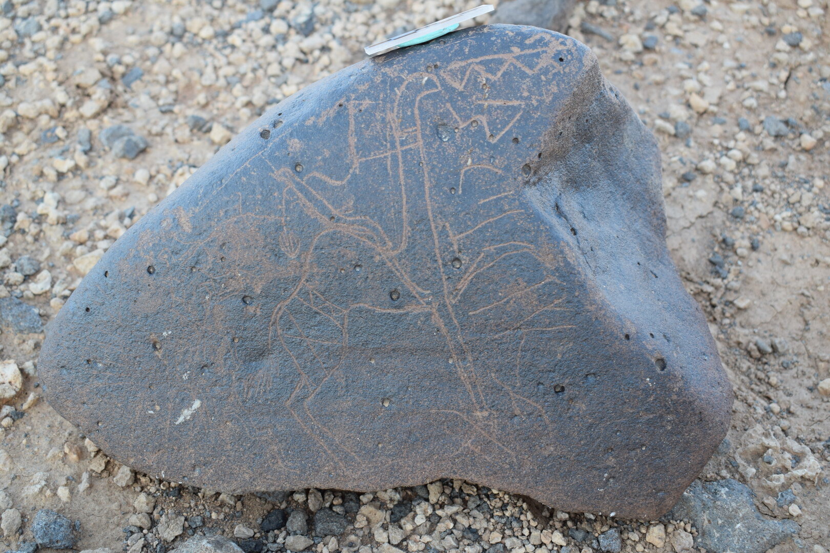 Image of siglum BES20 812