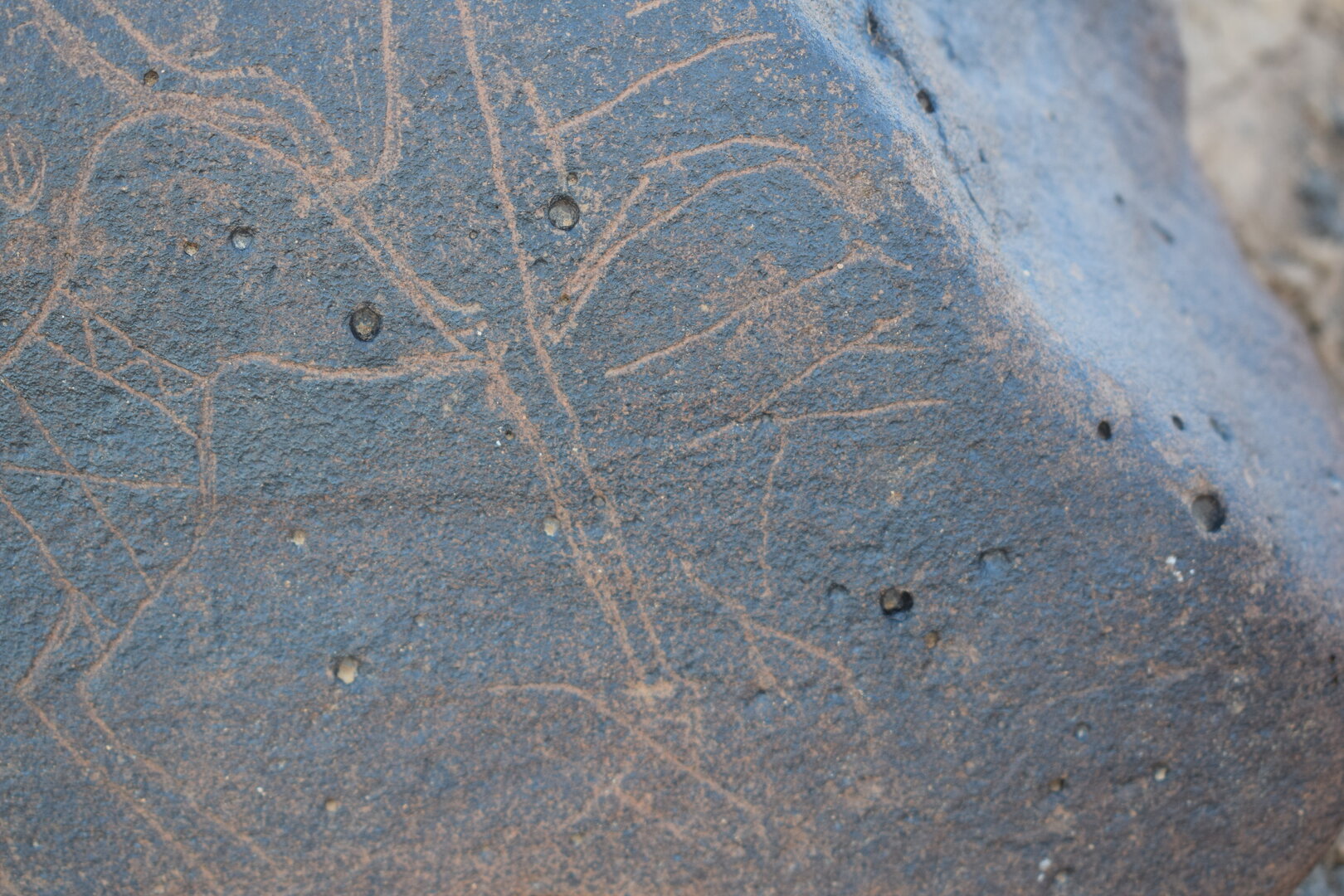 Image of siglum BES20 812