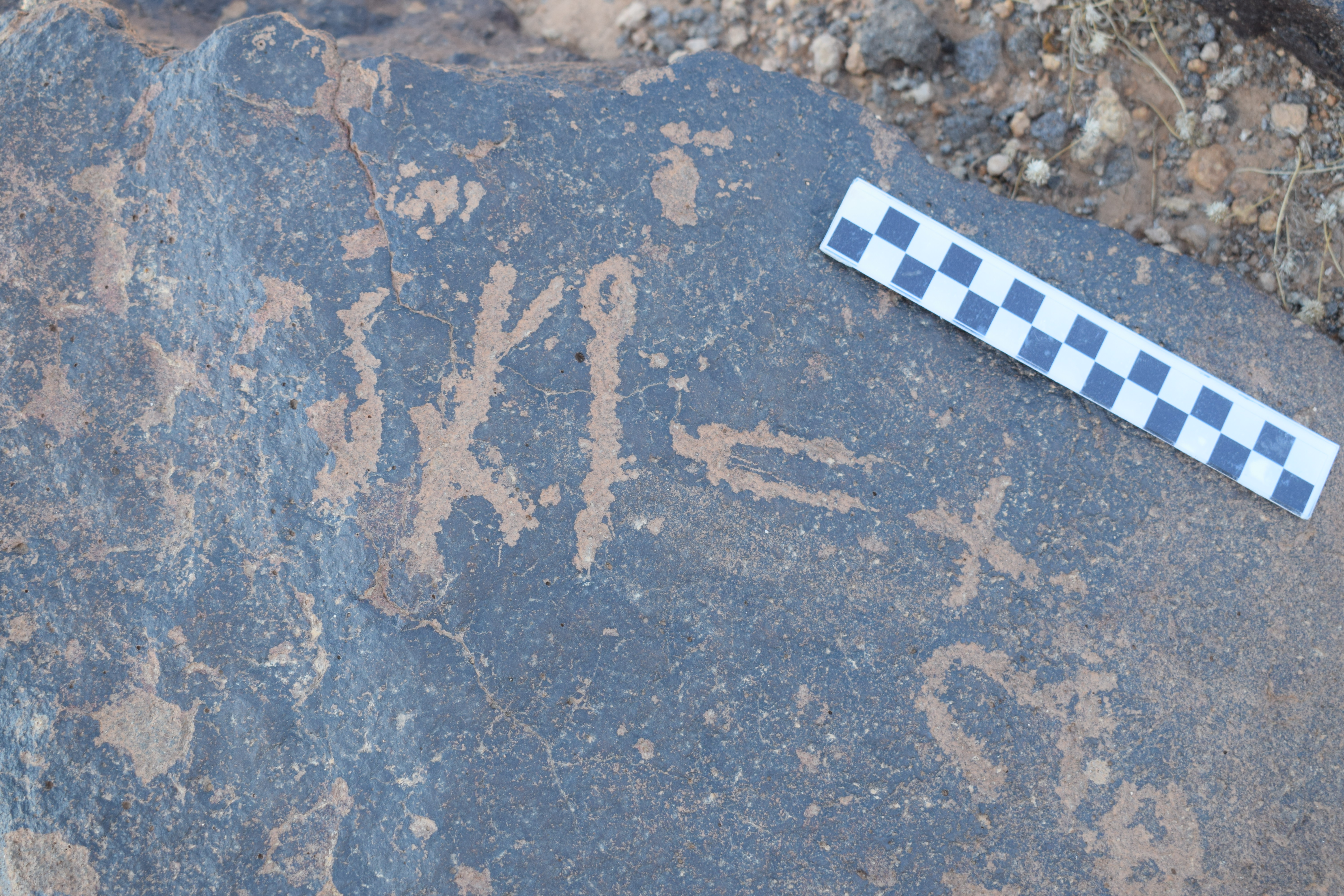 Image of siglum BES20 816