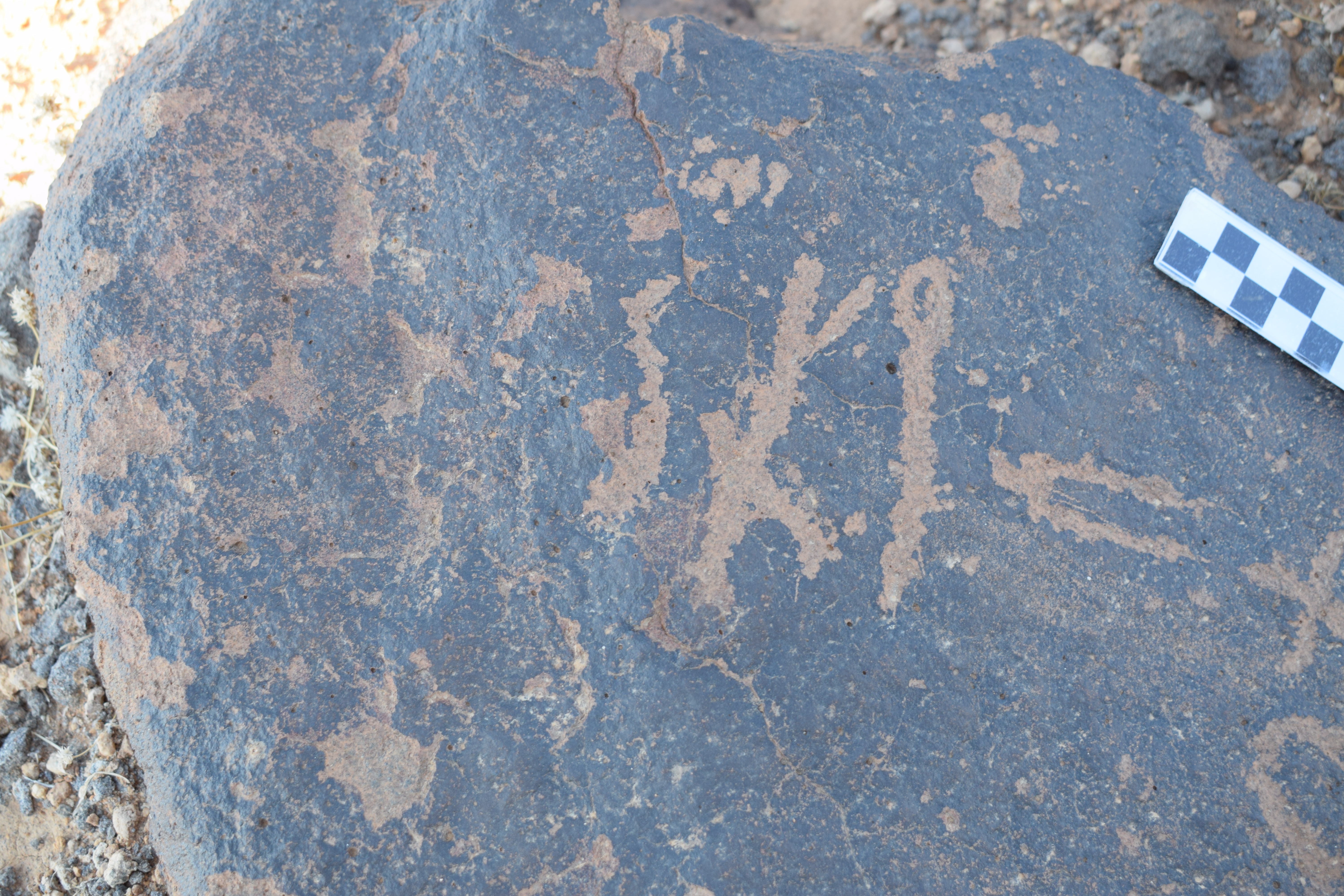 Image of siglum BES20 816