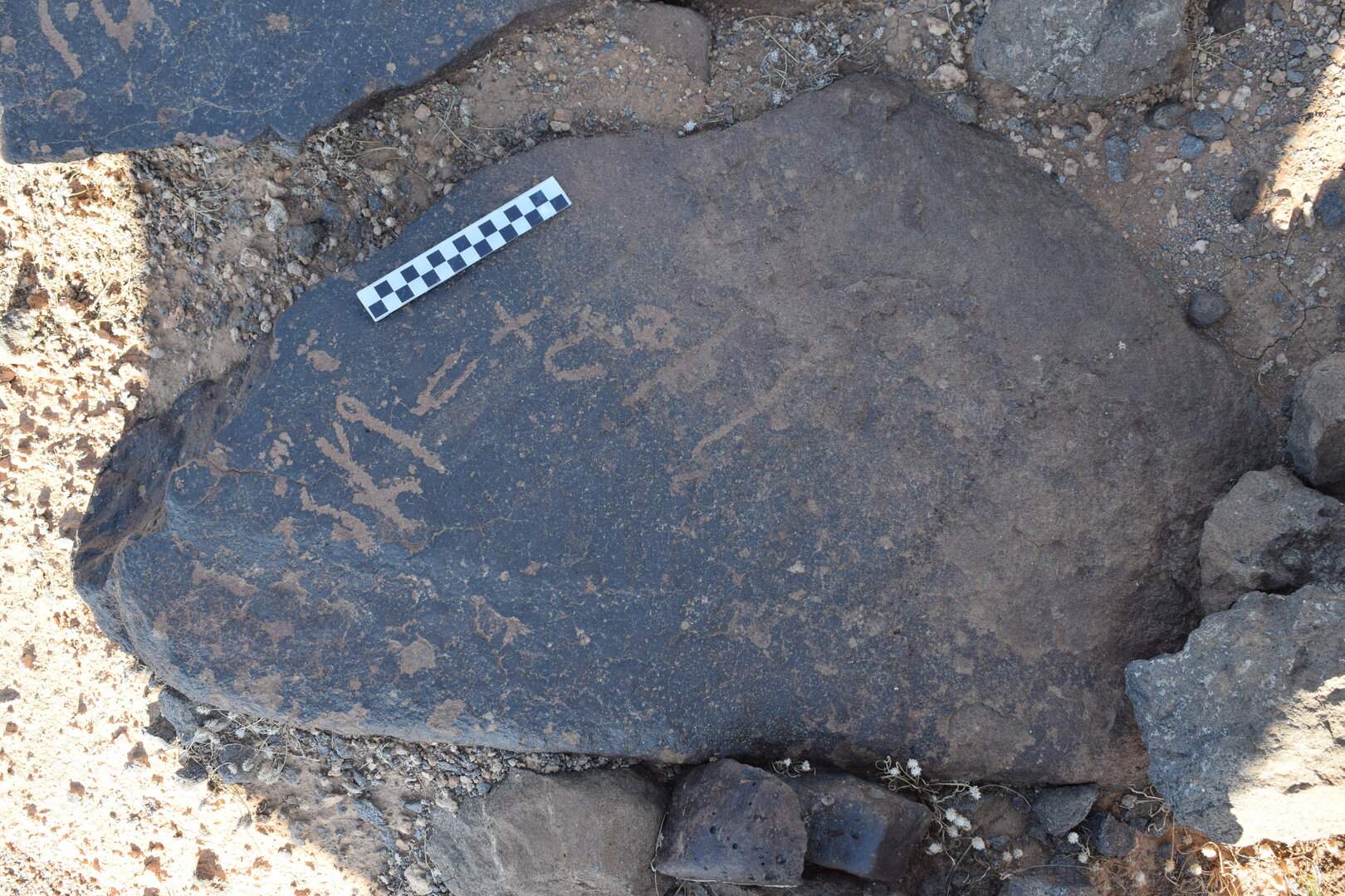 Image of siglum BES20 816
