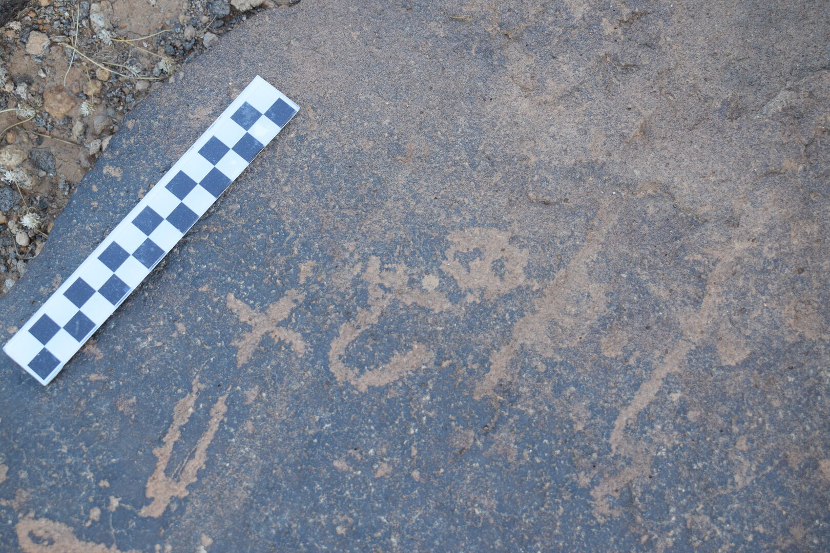 Image of siglum BES20 816